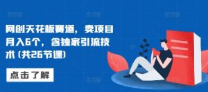 网创天花板赛道,卖项目月入6个,含独家引流技术(共26节课)-虚拟资源库