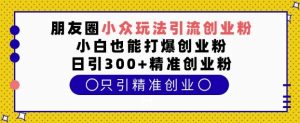 朋友圈小众玩法引流创业粉,小白也能打爆创业粉,日引300+精准创业粉【揭秘】-虚拟资源库
