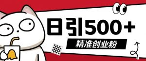 最新抖音引流创业粉，几分钟一个视频，非常暴力，小白直接可上手操作【揭秘】-虚拟资源库