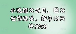 小说推文项目，图文创作玩法，新手10天挣3000-虚拟资源库