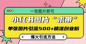 小红书图片‘求带’爆火引流法，单张图片引流500+精准创业粉【揭秘】-虚拟资源库