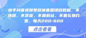 快手抖音视频号放映直播项目教程，不违规，不卖货，不靠粉丝，不靠礼物打赏，每天200-600-虚拟资源库