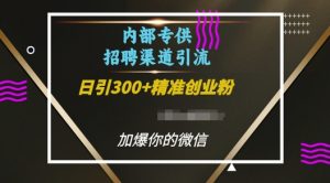 内部招聘渠道日引流300+创业粉,加爆你的微信【揭秘】-虚拟资源库