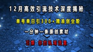 最新高效引流技术深度揭秘 ,单号单日引300+精准创业粉,一分钟一条原创素材,引爆你的私域流量-虚拟资源库