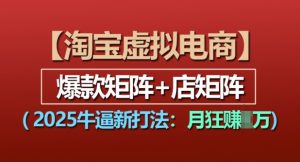 淘宝虚拟电商,2025牛逼新打法:爆款矩阵+店矩阵,月入过万-虚拟资源库