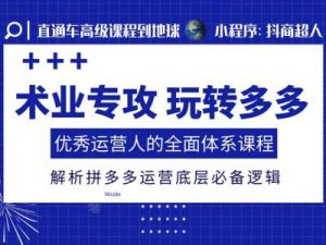 术业专攻玩转多多，优秀运营人的全面体系课程，解析拼多多运营底层必备逻辑-虚拟资源库