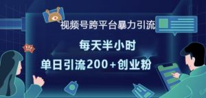 视频号跨平台暴力引流,每天半小时,单日引流200+精准创业粉-虚拟资源库