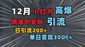 小红书一张图片“引爆”创业粉，单日+200+精准创业粉 可筛选付费意识创业粉【揭秘】-虚拟资源库