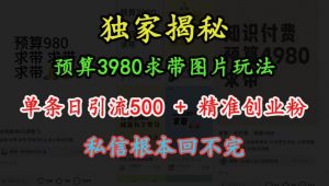 预算3980求带 图片玩法,单条日引流500+精准创业粉,私信根本回不完-虚拟资源库