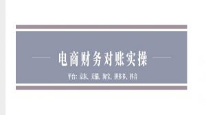 电商财务对账实操-京东天猫淘宝拼多多抖音电商财务对账-虚拟资源库