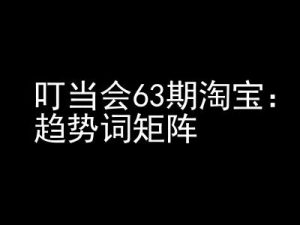 《淘宝天猫打爆班》原创高阶技术第63期，趋势词矩阵技术和玩法-虚拟资源库