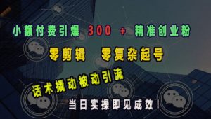 小额付费引爆 300 + 精准创业粉，零剪辑、零复杂起号，话术撬动被动引流，当日实操即见成效-虚拟资源库