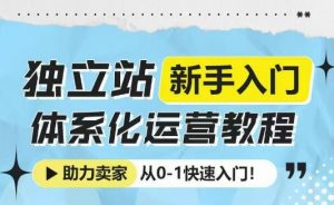 独立站新手入门体系化运营教程，助力独立站卖家从0-1快速入门!-虚拟资源库
