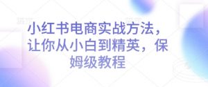 小红书电商实战方法，让你从小白到精英，保姆级教程-虚拟资源库