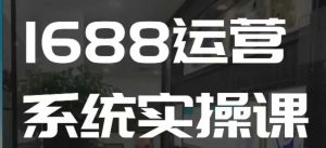1688高阶运营系统实操课，快速掌握1688店铺运营的核心玩法-虚拟资源库
