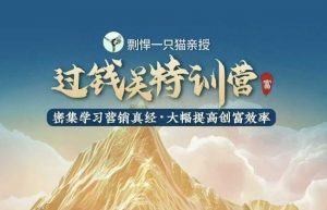 剽悍一只猫-过钱关特训营，学习营销真经 大幅度提高创富效率-虚拟资源库
