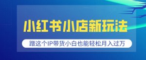 小红书小店新玩法，蹭这个IP带货，小白也能轻松月入过W【揭秘】-虚拟资源库