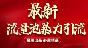 最新“流量池”无门槛暴力引流(全网首发)日引500+-虚拟资源库