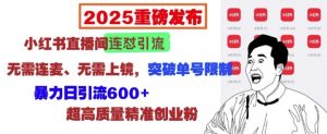 2025重磅发布：小红书直播间连怼引流，无需连麦、无需上镜，突破单号限制，暴力日引流600+-虚拟资源库