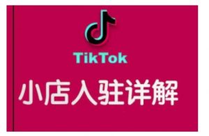 TikTok跨境小店运营全攻略，帮助你独立运营TK跨境小店的能力，实现销量增长-虚拟资源库