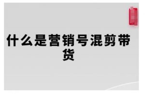 营销号混剪带货,从内容创作到流量变现的全流程,教你用营销号形式做混剪带货-虚拟资源库