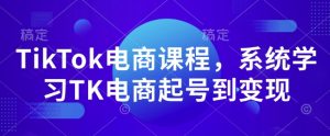 TikTok电商课程，​系统学习TK电商起号到变现-虚拟资源库