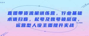 直播带货流量训练营，行业基础术语扫盲，起号及账号破层级，运营型人设主播提升实战-虚拟资源库