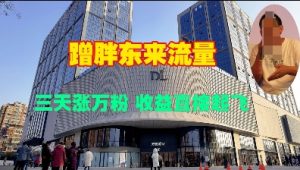 蹭胖东来流量，三天涨万粉，收益直接起飞-虚拟资源库