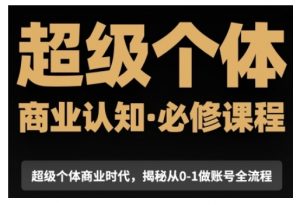 超级个体商业认知觉醒视频课，商业认知·必修课程揭秘从0-1账号全流程-虚拟资源库
