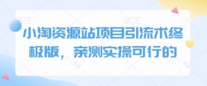 小淘资源站项目引流术终极版,亲测实操可行的-虚拟资源库