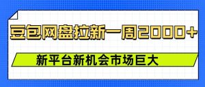 豆包网盘拉新，一周2k，新平台新机会-虚拟资源库