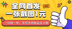 全网首发，一张截图1块钱，一分钟一单，多劳多得，收益无上限-虚拟资源库