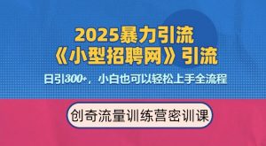2025最新暴力引流方法,招聘平台一天引流300+,日变现多张,专业人士力荐-虚拟资源库