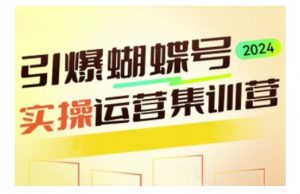 引爆蝴蝶号实操运营,助力你深度掌握蝴蝶号运营,实现高效实操,开启流量变现之路-虚拟资源库