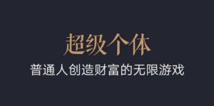 超级个体：2024-2025翻盘指南，普通人创造财富的无限游戏-虚拟资源库