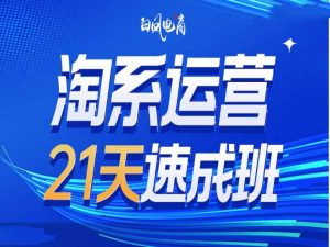 淘系运营21天速成班35期，年前最后一波和2025方向-虚拟资源库