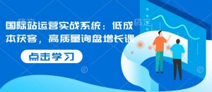 国际站运营实战系统：低成本获客，高质量询盘增长课-虚拟资源库