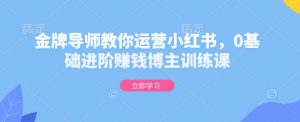 金牌导师教你运营小红书,0基础进阶赚钱博主训练课-虚拟资源库
