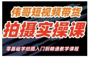 短视频带货拍摄实操课，零基础学拍摄入门到精通教学-虚拟资源库