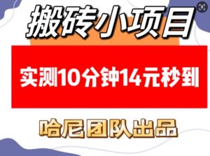 搬砖小项目，实测10分钟14元秒到，每天稳定几张(赠送必看稳定)-虚拟资源库