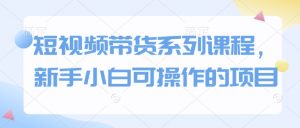 短视频带货系列课程,新手小白可操作的项目-虚拟资源库