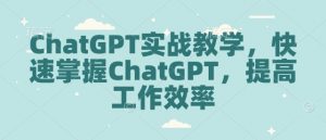 ChatGPT实战教学,快速掌握ChatGPT,提高工作效率-虚拟资源库