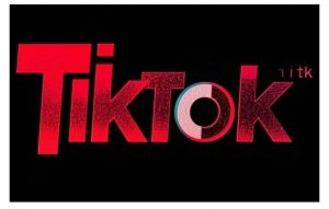 TikTok ads投流秘籍,涵盖tiktok整体投放思路,教你搭建测试计划-虚拟资源库