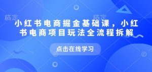 小红书电商掘金课，小红书电商项目玩法全流程拆解-虚拟资源库
