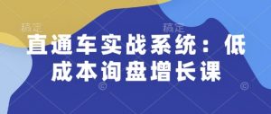 直通车实战系统:低成本询盘增长课,让个人通过技能实现升职加薪,让企业低成本获客,订单源源不断-虚拟资源库