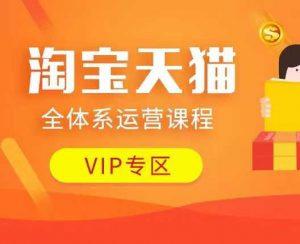 淘宝天猫全体系运营课程：店铺全系运营、动销玩法、付费推广、流量提升、擦边球玩法等等-虚拟资源库