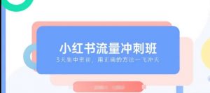 小红书流量冲刺班2025，最懂小红书的女人，快速教你2025年入局小红书-虚拟资源库