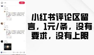 小红书评论区留言，1元条，没有要求，没有上限-虚拟资源库