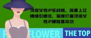 顶流女性IP实战班,流量上亿情绪引爆法,深度打磨顶流女性IP硬核基本功-虚拟资源库