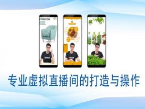 个人虚拟直播间的搭建与操作，专业虚拟直播间的打造与操作-虚拟资源库
